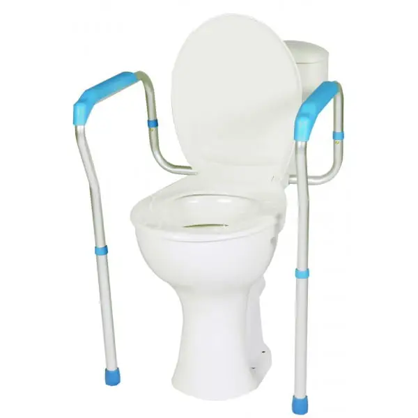 aston_rama_asekuracyjna_na_sedes_podparcie_wc_dla_niepelnosprawnych.jpg